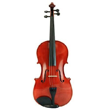 D'Luca PDZ02-16.5 16.5-Inch Orchestral Series Viola Outfit