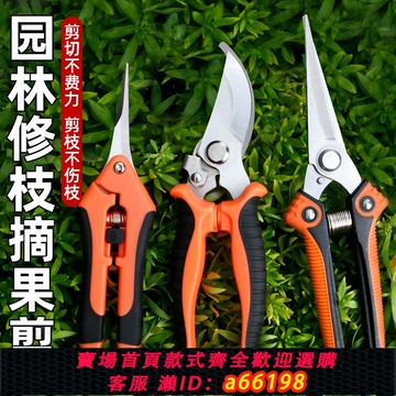 【台灣公司 可開發票】家用修枝剪果樹專用剪子鮮花園藝剪不銹鋼剪樹枝綠化嫁接園林剪刀