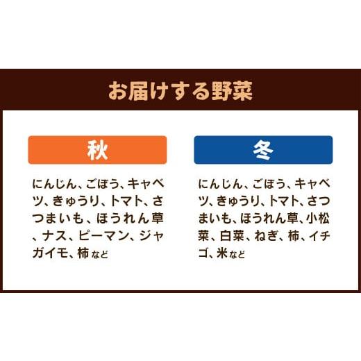 ふるさと納税 熊本県 菊陽町 菊陽町特産品 「野菜・果物などの詰め合わせ」 ／ 新鮮 詰合せ フルーツ セット 熊本県 特産品