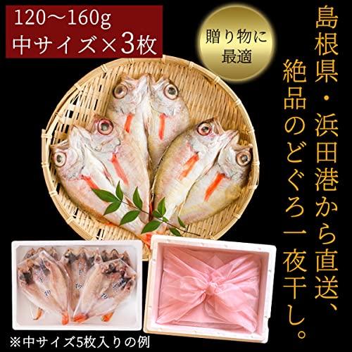 風味絶佳.山陰 のどぐろ 干物 100〜150g（中サイズ）×3枚入 無添加 一夜干し