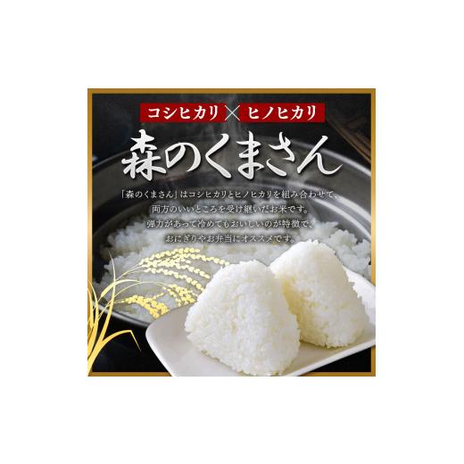 ふるさと納税 熊本県 玉名市 森のくまさん 無洗米 10kg （5kg×2袋）×12回