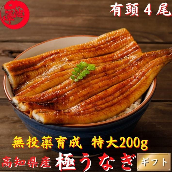 高知県産 うなぎ 蒲焼き 国産 特大200g×4尾 無投薬 仁淀川 誕生日 ギフト 贈答