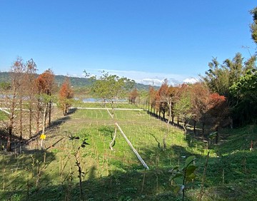 大溪金澤社區型風景區美田｜桃園市大溪區溪崁段