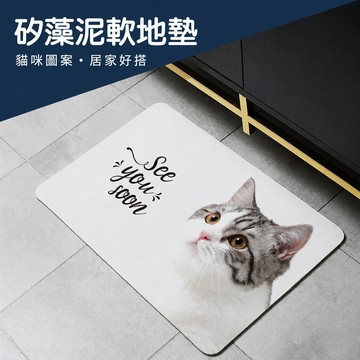 吸水地墊 防滑地墊 浴室地墊 洗手台地墊 矽藻土地墊 超纖維地墊 防滑腳踏墊 浴室吸水墊 廚房腳踏墊