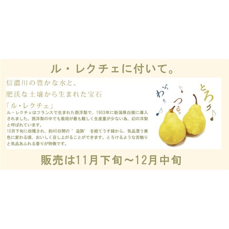 フルーツ 梨 和梨 新興 新潟県白根 梨栽培農家 和泉果樹園 有機質肥料栽培 新興梨 10kg (14個〜20個） 家庭用梨 送料無料