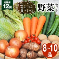 雲（う～ん）と仙（ぜん）ぶ食べられる野菜セット（8～10品）＜肥前グローカル＞