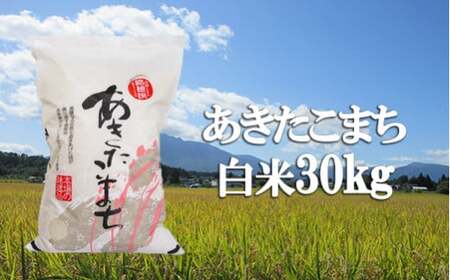  精米 30kg （10kg×3袋） ／ 新米 白米 産地直送 