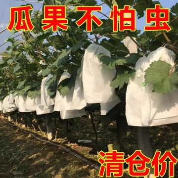 【臺灣出貨】水果套袋防鳥防蟲專用網袋葡萄無花果枇杷芒果蘋果袋草莓套袋