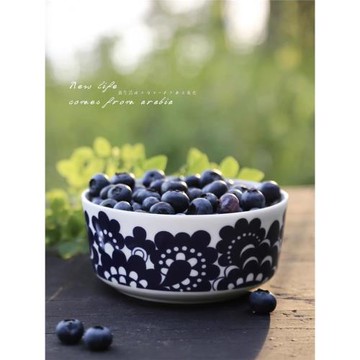 芬蘭Arabia Esteri艾斯達麗藍花陶瓷盤碗北歐藍色經典窗花馬克杯