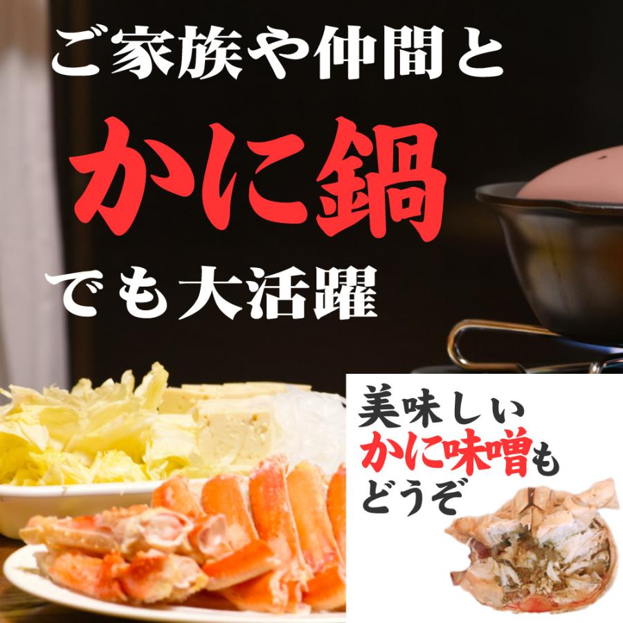 送料無料 ずわいがに 姿 800g前後 北海道 ズワイガニ zuwai ずわい かに ギフト かに鍋 グルメ フードロス 食品ロス お歳暮 御歳暮 クリスマス