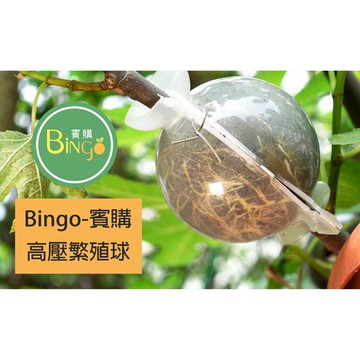 賓購 買5送1現貨 植物高壓盒 高壓球 高壓繁殖球 植物繁殖 果樹繁殖 高壓繁殖分株 育種 高壓法 快速繁殖 果樹分株