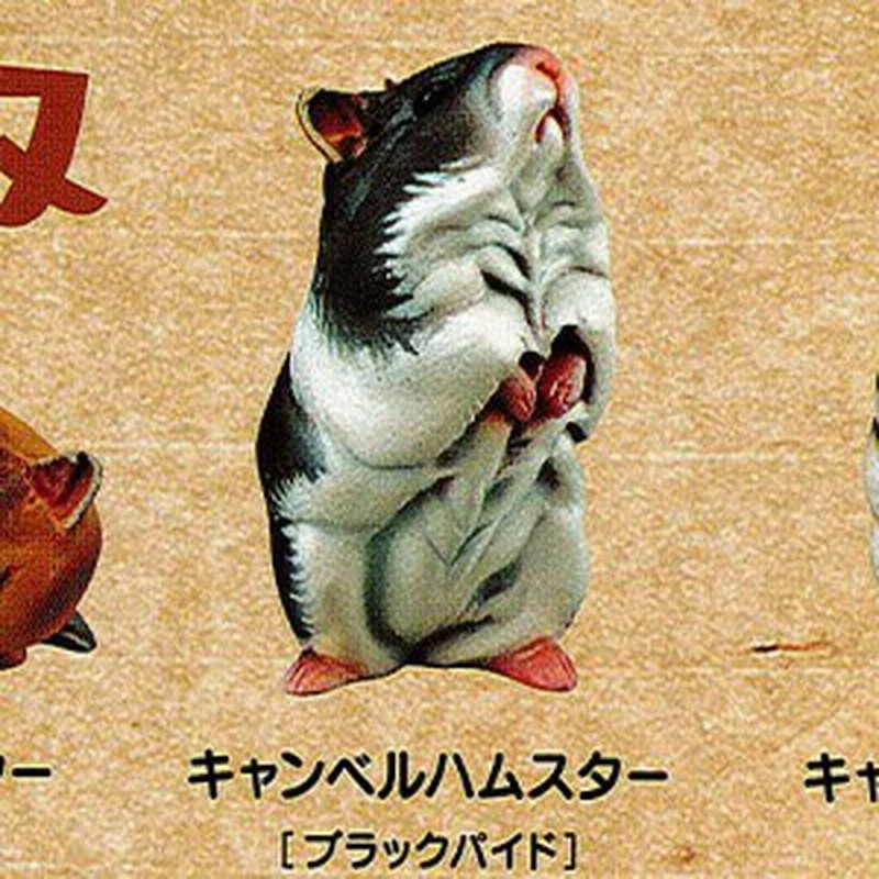 カプセルclassica ハムスターズランチ ひま種 復刻版 5 キャンベルハムスター ブラックバイド 海洋堂 ガチャポン 通販 Lineポイント最大1 0 Get Lineショッピング