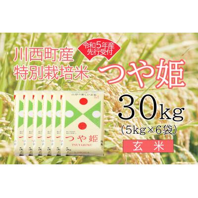 ふるさと納税 川西町 令和5年産　つや姫30kg　玄米