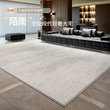 意式地毯客廳現代簡約輕奢加厚防水防污家用地毯免洗高級隔音定制