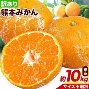 みかん 送料無料 10kg（内容量9kg 補償分500g） 訳あり 規格外 サイズ不選別 熊本県産 ミカン 蜜柑 ご自宅用 ポイント消化