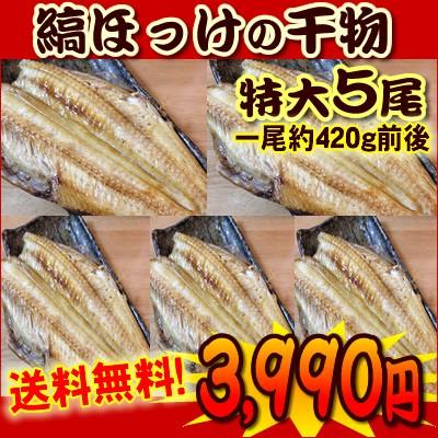 （5尾セット・送料無料）やっと見つけた！美味しい縞ホッケ 開き干し ほっけ 干物 セット 詰め合わせ トロホッケ