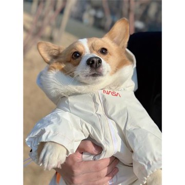 狗狗沖鋒衣潮牌春夏防雨反光宇航服大型犬巨貴金毛小狗泰迪雨衣薄