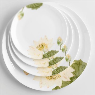 唐山骨瓷陶瓷盤餐具8英寸平盤碟子盤子餃子盤菜盤西餐盤淺盤