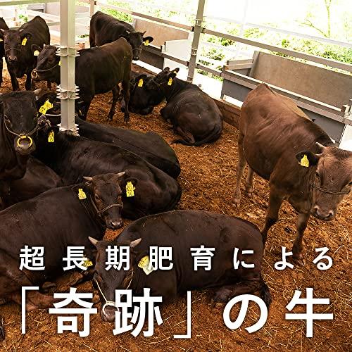 東京美食Labo プレミアムカレー 特選松阪牛カレー 250g化学調味料不使用 PREMIUM MATSUSAKA BEEF CURRY