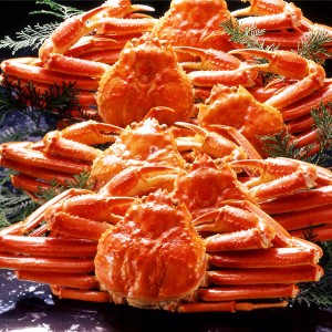 カナダ産ボイルズワイガニ姿・約500g×6尾 冷凍ズワイ蟹