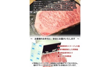 肉 牛 塊肉土佐 和牛 A5 特選 サーロイン ブロック 約1kg〈高知市共通返礼品〉お歳暮 御歳暮