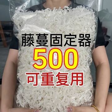 黃瓜西紅柿豆角爬藤枝條固定器綠植蔬菜捆綁紮帶藤蔓專用吊秧夾