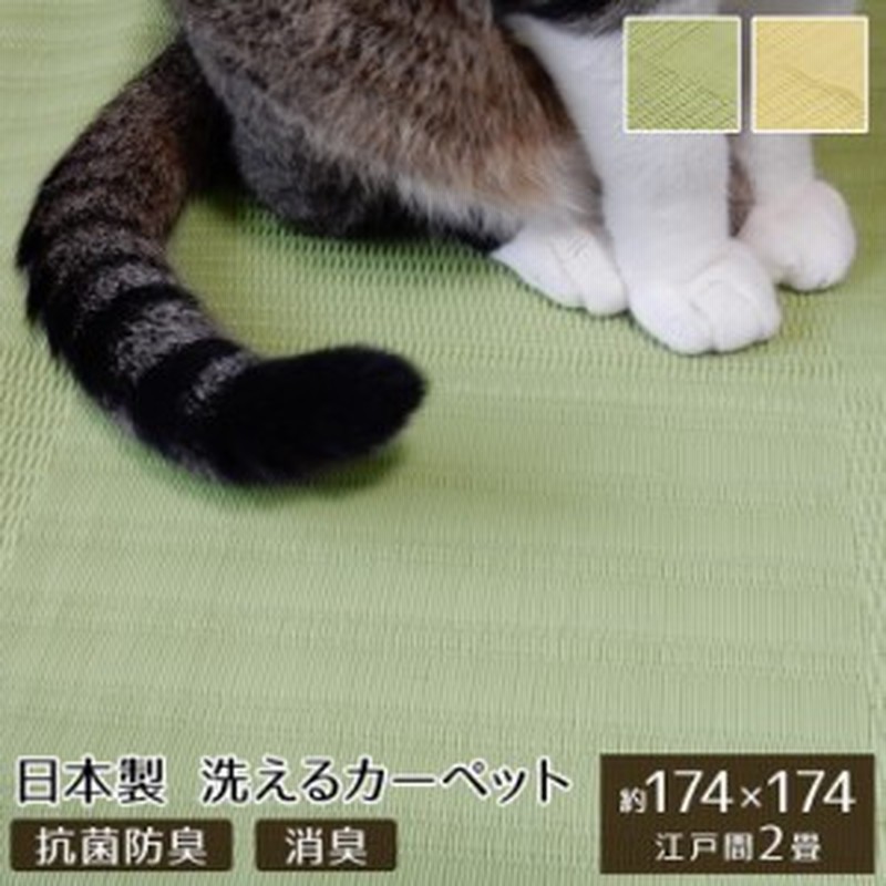 ラグマット 2畳 ペット ラグ 洗える 粗相 カーペット 犬 猫 ラグ 江戸間2畳 約 174 174 Cm 水をはじく 汚れ にくい い草風 防ダ 通販 Lineポイント最大4 0 Get Lineショッピング