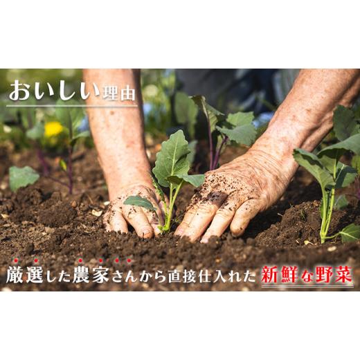 ふるさと納税 長崎県 諫早市 諫早産野菜の詰め合わせ(8〜9品目程度)