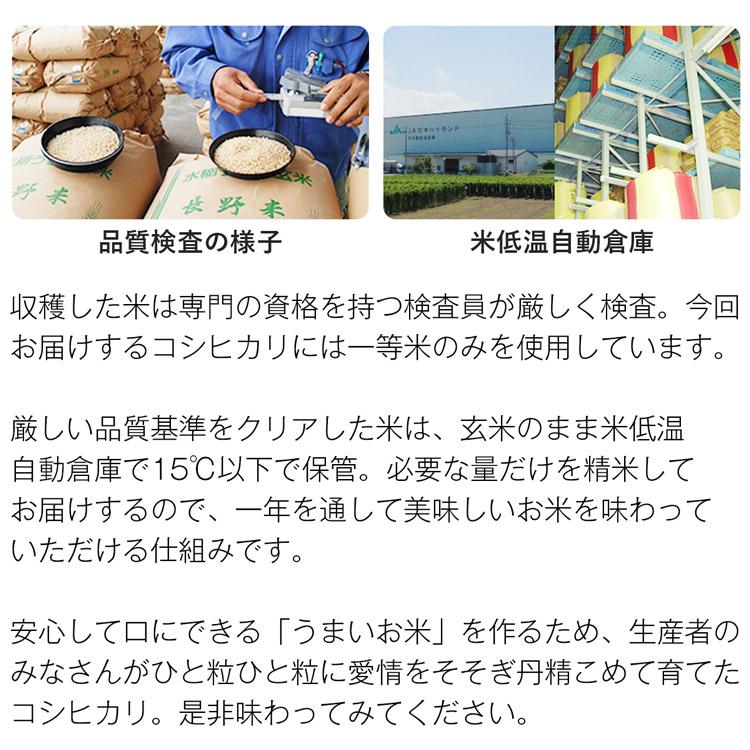 コシヒカリ 長野県産 10kg 一等米 産地直送 米 お米 送料無料 常温便 同梱不可 指定日不可 お取り寄せグルメ 食品 産直