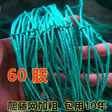 🔥臺灣出貨🔥植物爬藤網絲瓜苦瓜瓜蔞葡萄百香果爬藤網攀爬網藤蔓植物搭架網hhfo00
