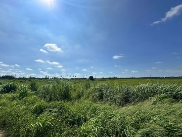 台一線旁4.2分美農地｜台南市後壁區嘉安段
