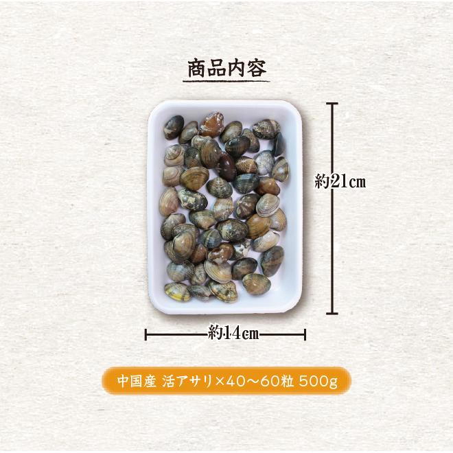 活あさり貝 中国産　500ｇ　約40粒〜60粒 [あさり貝]