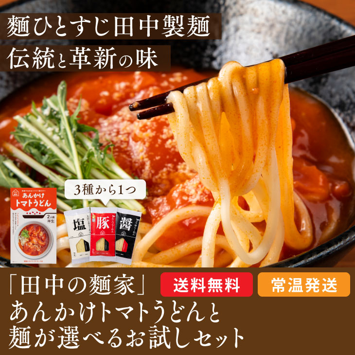 福岡 製麺所 直送 「田中の麺家 お試しセット」 あんかけトマトうどん 選べる ラーメン 豚骨 醤油 塩 お取り寄せ 郷土 料理 創作 麺 料理