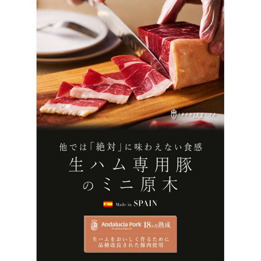 お歳暮 ギフト 生ハム 原木 ミニ ブロック アンダルシアポーク ミニ原木 280g〜 30ヶ月熟成 高級 お取り寄せ ハム ミニ原木 冷蔵