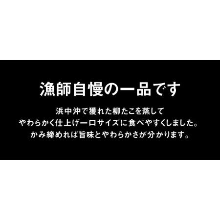 ふるさと納税 やわらかぶつ切りたこ100g×3パックセット_H0001-013 北海道浜中町