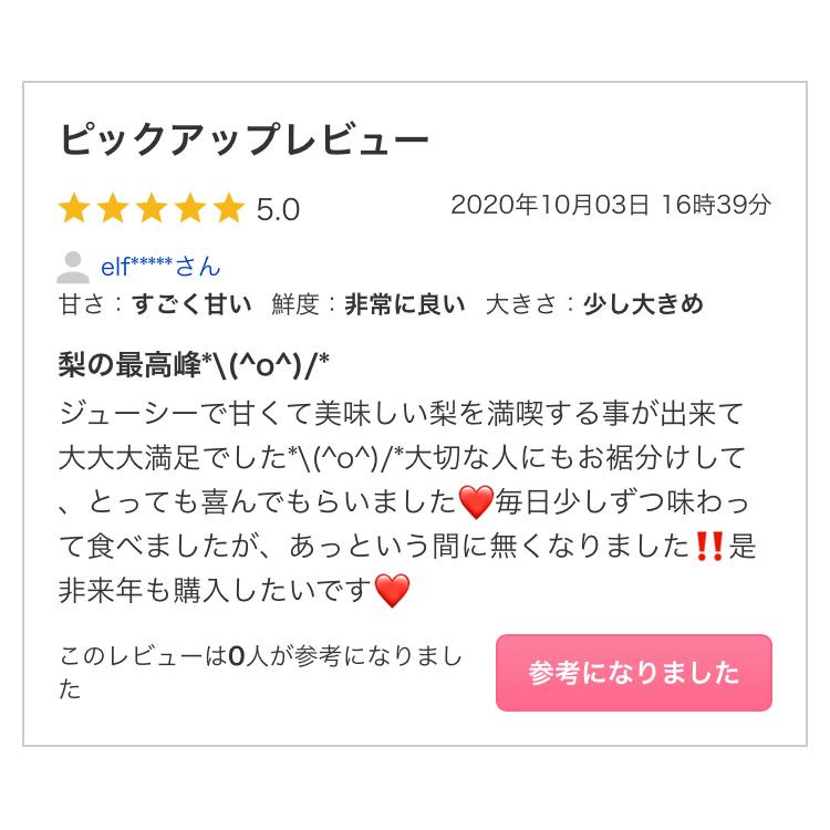 早割　梨　訳あり 鳥取県産　新甘泉梨10kg（20〜40玉入り）　送料無料　2024年産予約