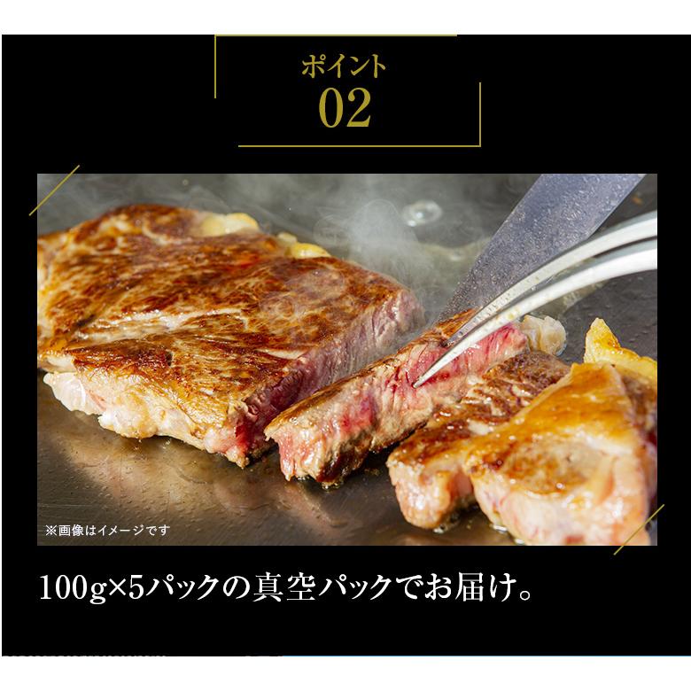 九州産黒毛和牛ヒレ500g（100g×5枚）ステーキ用 九州産 黒毛和牛 ヒレ ステーキ BBQ バーベキュー