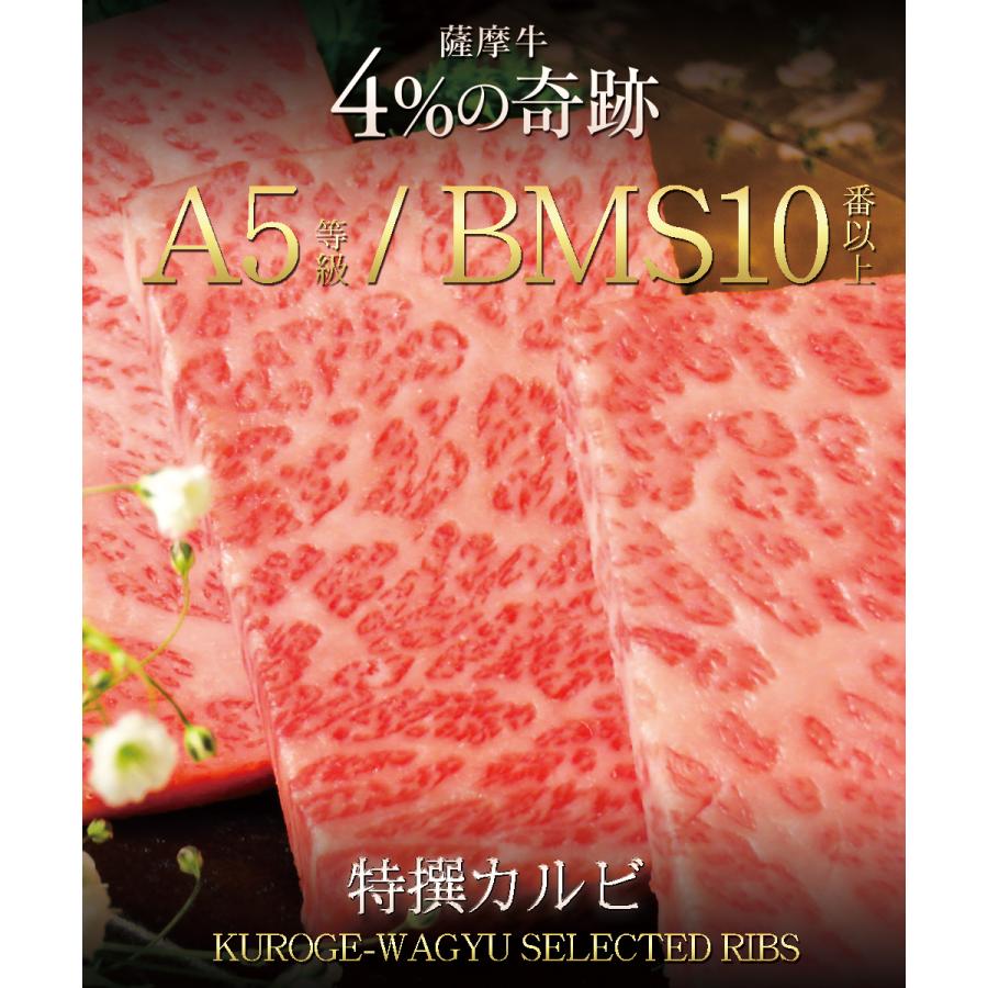 BBQセット” 極 ” 計1kg以上！