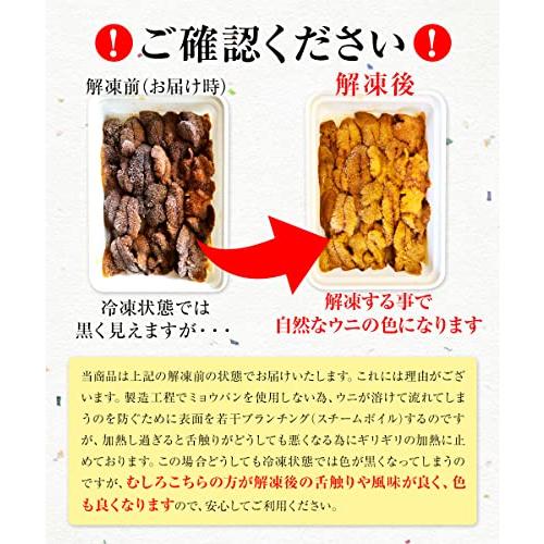 冷凍生うに ミョウバン不使用 100g うに丼約2杯分 ウニ 雲丹