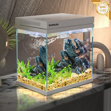 【懶人自循環】桌面魚缸 小型魚缸 超白玻璃魚缸 水族箱 過濾製氧一體機 免換水生態缸 靜音低耗 客廳辦公室桌面裝飾
