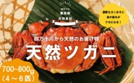 R5-030．最高級天然食材！四万十川の天然ツガニ 約700g～800g（4～6匹）