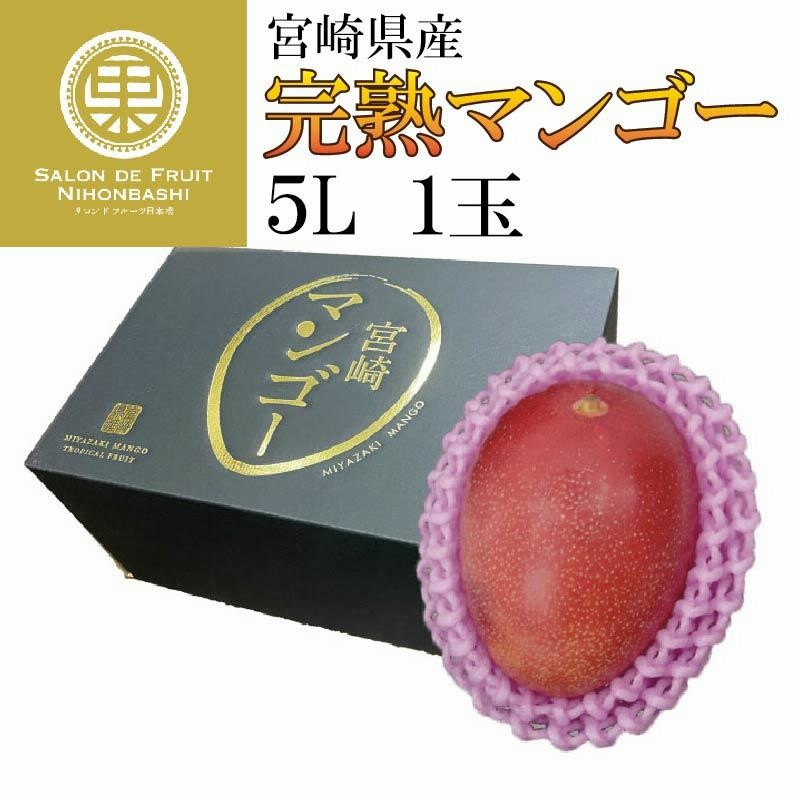 [予約 6月16日-6月30日の納品] 太陽のタマゴ 赤秀品 特大 5Lサイズ 1玉 化粧箱 宮崎県産