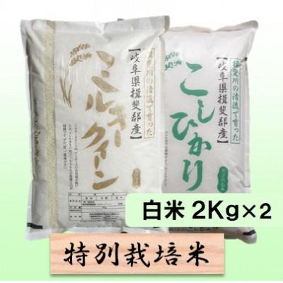 ふるさと納税 池田町 特別栽培米 4kg(ミルキークイーン コシヒカリ)