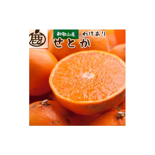 ふるさと納税 和歌山県 広川町 ＜先行予約＞家庭用せとか2kg 60g（傷み補償分）※2024年2月中旬〜4月…