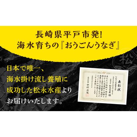 ふるさと納税 おうごん うなぎ 300g[KAB139]  長崎 平戸 魚介類 魚 うなぎ 鰻 ウナギ 蒲焼 かばやき 定期便 長崎県平戸市