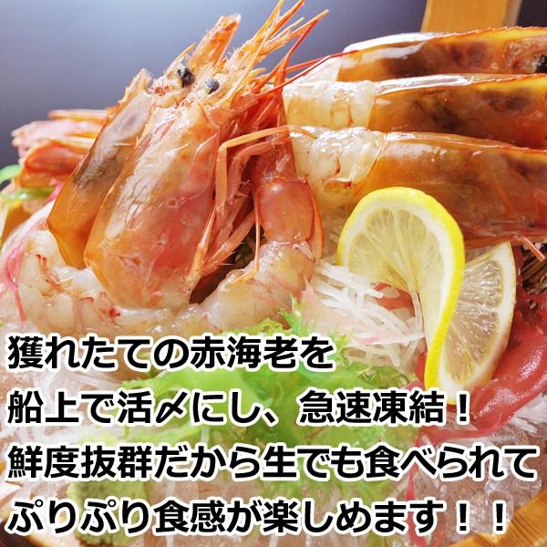 有頭赤えび2kg　送料無料 新鮮船上凍結(50尾前後)