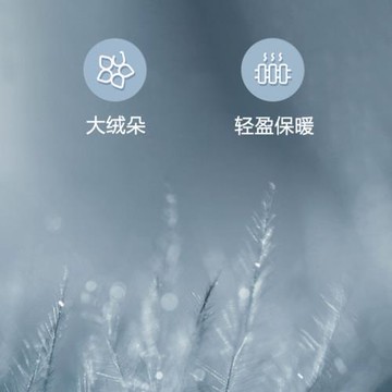 富安娜四季羽絨被白鵝絨夏被保暖被芯春秋被抗菌加厚冬季被子母被