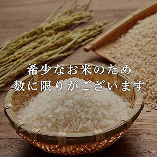 スマート玄米：青森県 まっしぐら (無洗米玄米5kg)：残留農薬ゼロ