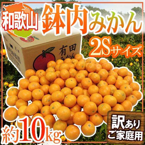 みかん 和歌山・有田産 ”鉢内みかん” 訳あり 2Sサイズ 約10kg はちうちみかん 送料無料