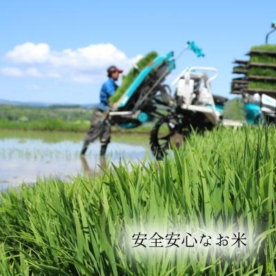 ふるさと納税 当麻町 特別栽培米食べ比べ定期便